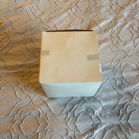 NWT Walt Disney World Park 50th Anniversary Glass Globe Ornament - Picture 9 of 9